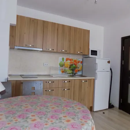 Apartment Rodina 2